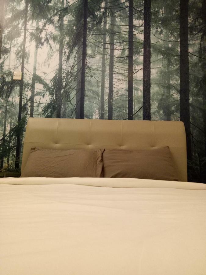 טאנה ראטה Nature @ Forest Cameron 15 מראה חיצוני תמונה